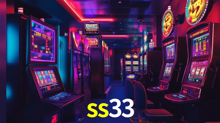 ss33 App Interface