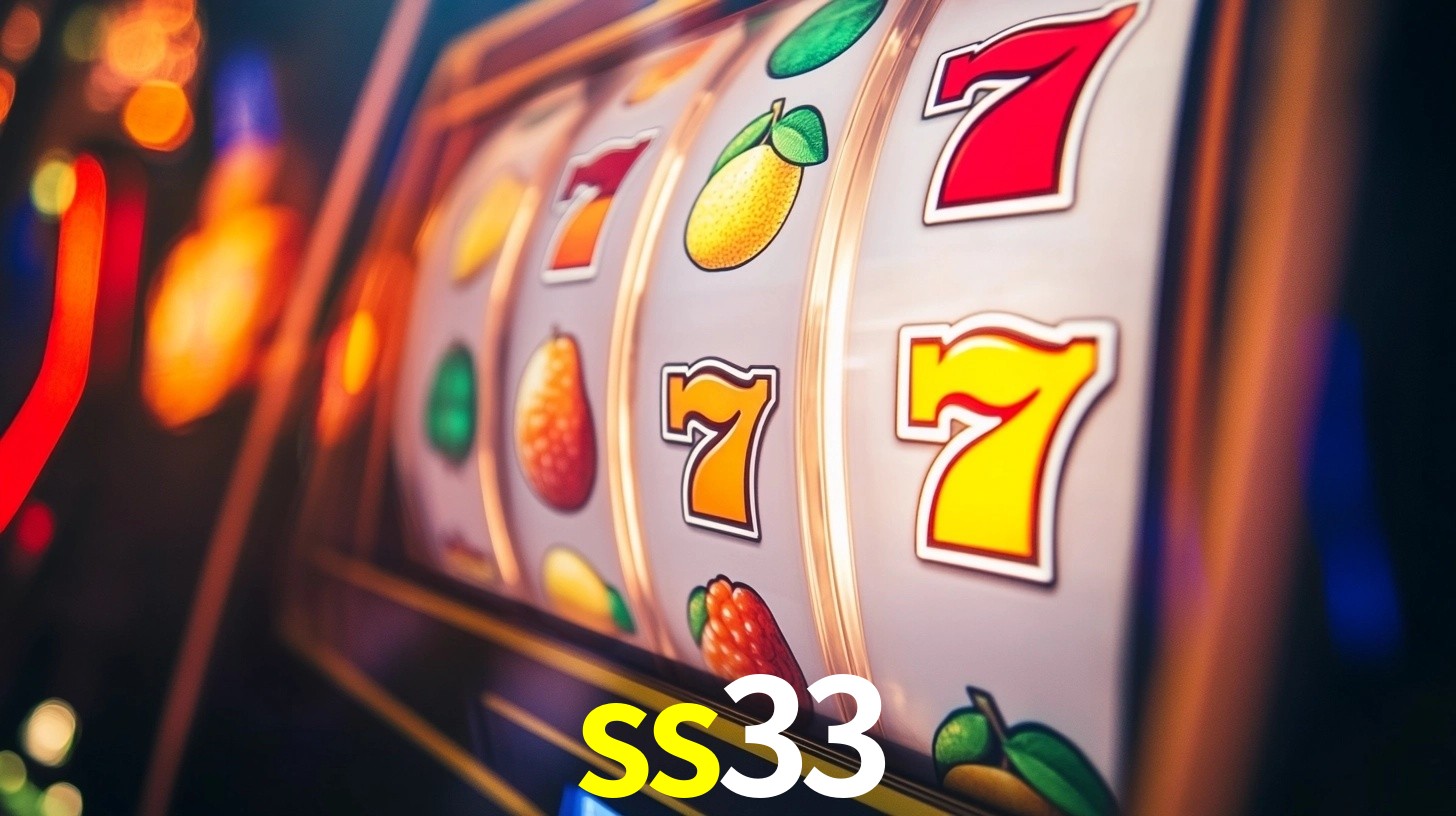 Premium Interface ss33